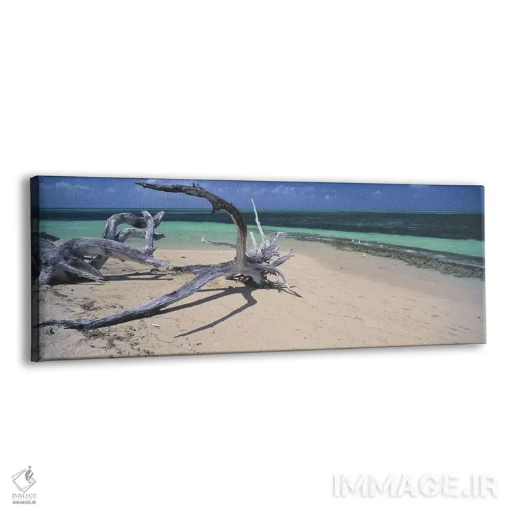 تابلو دکوراتیو Green Island, Great Barrier Reef, Queensland, Australia… اثر پانورامیک ایمجز - نمای پرسپکتیو محصول
