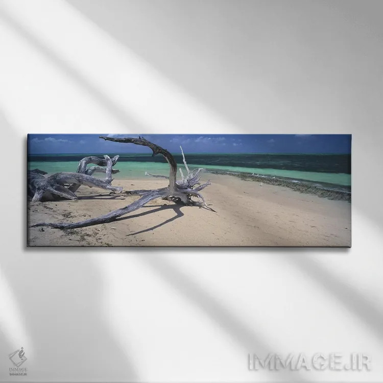 تابلو دکوراتیو Green Island, Great Barrier Reef, Queensland, Australia… اثر پانورامیک ایمجز - نمای روبهرو روی دیوار