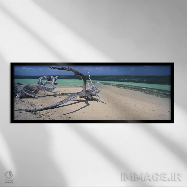 تابلو دکوراتیو Green Island, Great Barrier Reef, Queensland, Australia… اثر پانورامیک ایمجز - نمای قابدار مشکی