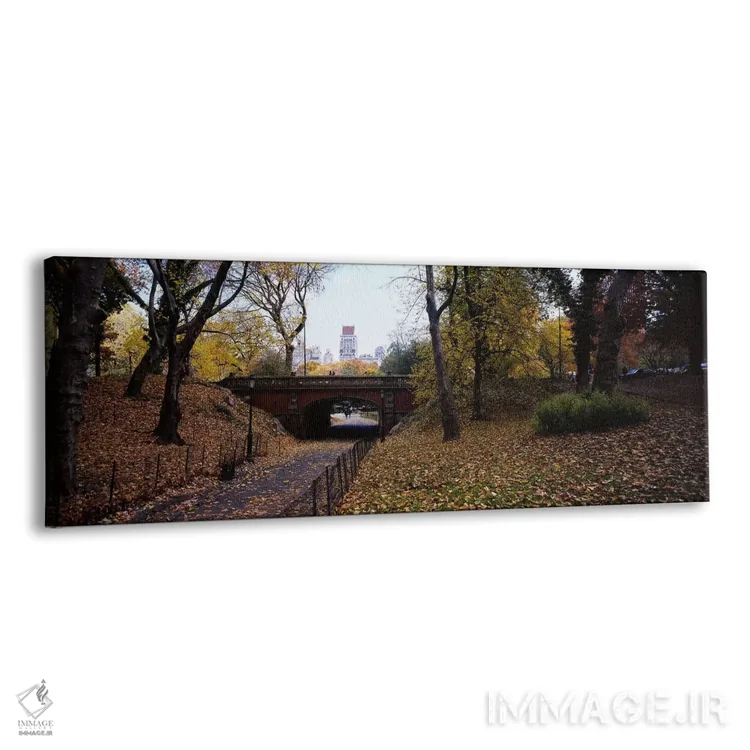 تابلو دکوراتیو Central Park, Manhattan, New York City, New York, USA,ط… اثر پانورامیک ایمجز - نمای پرسپکتیو محصول