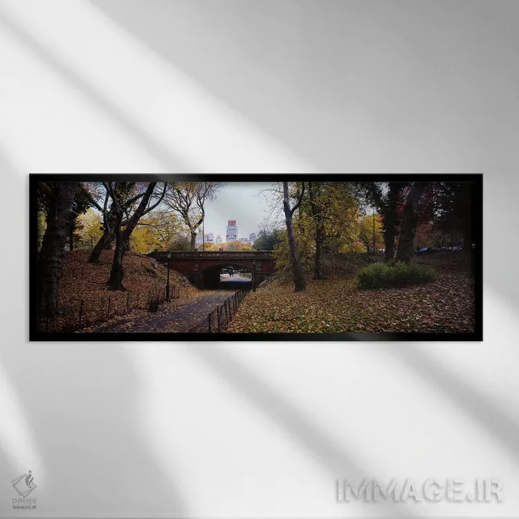 تابلو دکوراتیو Central Park, Manhattan, New York City, New York, USA,ط… اثر پانورامیک ایمجز - نمای قابدار مشکی