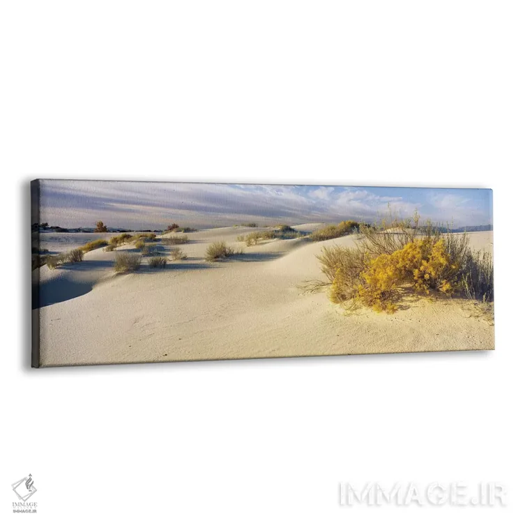 تابلو دکوراتیو White Sands National Monument, Tularosa Basin, New Mexi… اثر پانورامیک ایمجز - نمای پرسپکتیو محصول