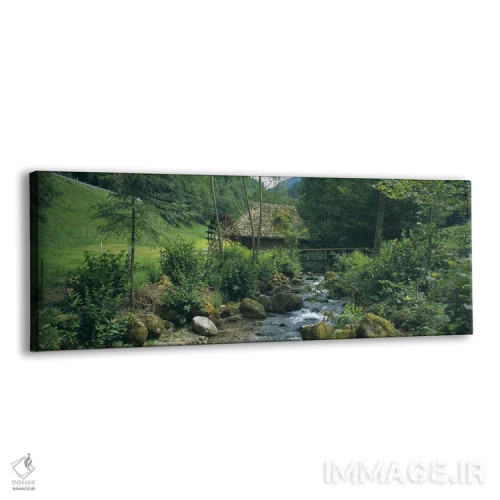 تابلو دکوراتیو Black Forest, Glottertal, Baden-Wurttemberg, Germany,آس… اثر پانورامیک ایمجز - نمای پرسپکتیو محصول
