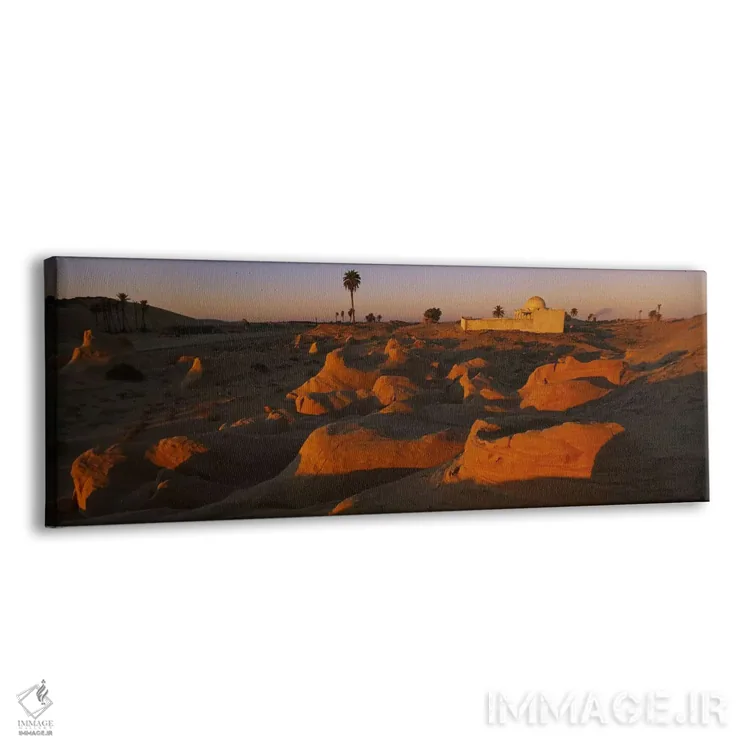 تابلو دکوراتیو Douz, Tunisia,مسجدی روی تپه، دوز، تونس اثر پانورامیک ایمجز - نمای پرسپکتیو محصول