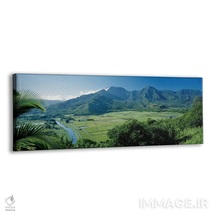 تابلو دکوراتیو Kauai, Hawaii, USA,دره هاناله از منظره گاه نزدیک پرینس… اثر پانورامیک ایمجز - نمای پرسپکتیو محصول