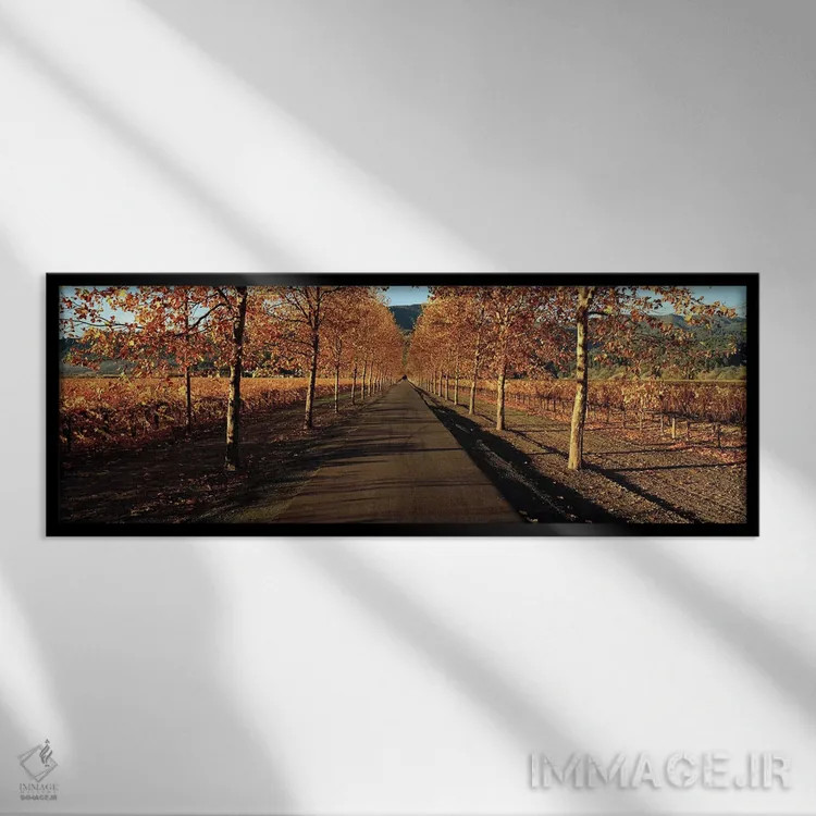 تابلو دکوراتیو Beaulieu Vineyard, Rutherford AVA, Napa Valley, Califor… اثر پانورامیک ایمجز - نمای قابدار مشکی