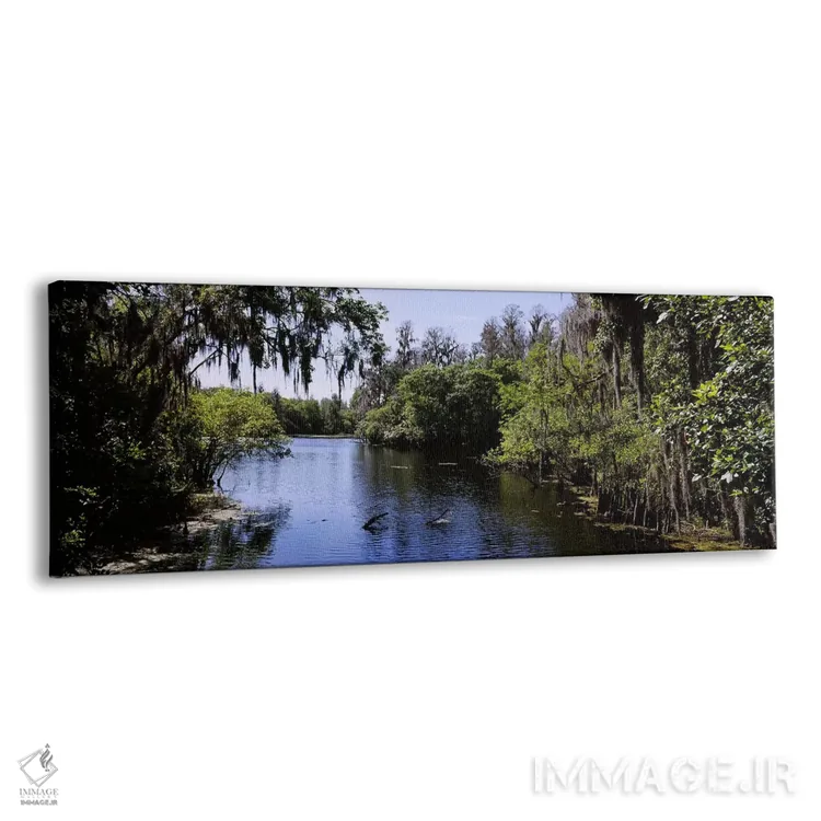تابلو دکوراتیو Lettuce Lake Park, Tampa, Hillsborough County, Florida… اثر پانورامیک ایمجز - نمای پرسپکتیو محصول