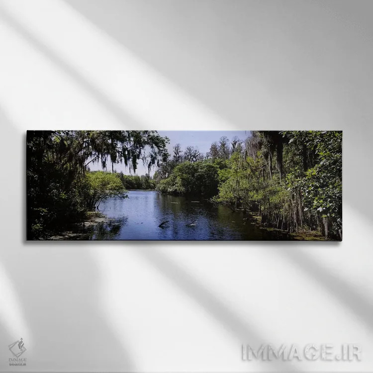 تابلو دکوراتیو Lettuce Lake Park, Tampa, Hillsborough County, Florida… اثر پانورامیک ایمجز - نمای روبهرو روی دیوار