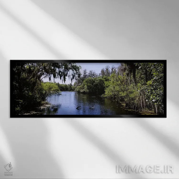 تابلو دکوراتیو Lettuce Lake Park, Tampa, Hillsborough County, Florida… اثر پانورامیک ایمجز - نمای قابدار مشکی