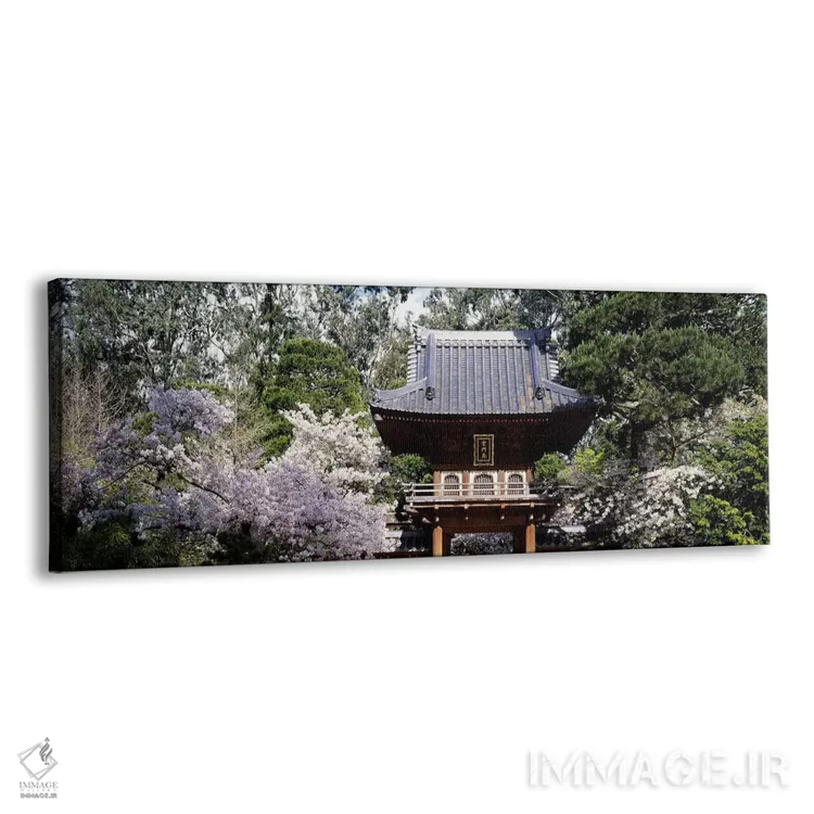 تابلو دکوراتیو Golden Gate Park, San Francisco, California, USA,نمای ز… اثر پانورامیک ایمجز - نمای پرسپکتیو محصول