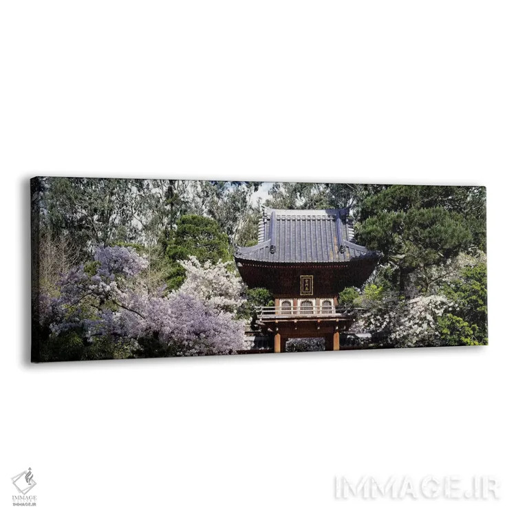 تابلو دکوراتیو Golden Gate Park, San Francisco, California, USA,نمای ز… اثر پانورامیک ایمجز - نمای پرسپکتیو محصول