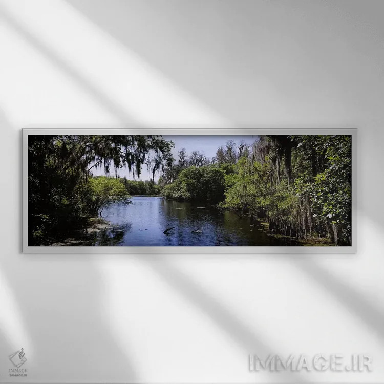 تابلو دکوراتیو Lettuce Lake Park, Tampa, Hillsborough County, Florida… اثر پانورامیک ایمجز - نمای قابدار سفید