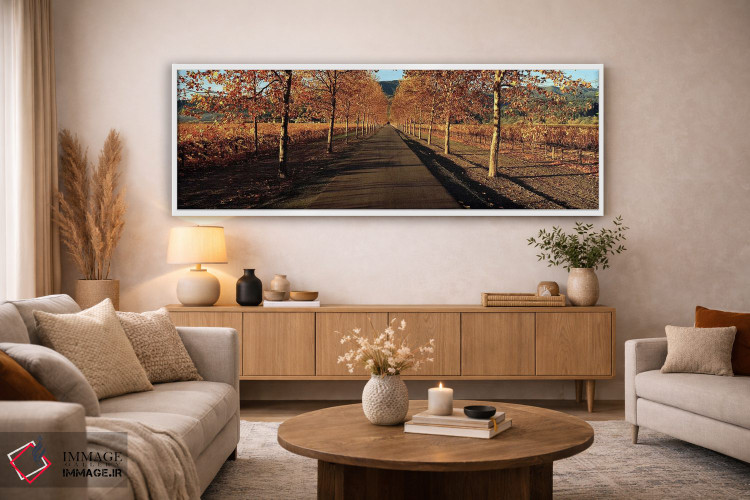 تابلو دکوراتیو Beaulieu Vineyard, Rutherford AVA, Napa Valley, Califor… اثر پانورامیک ایمجز - D3W