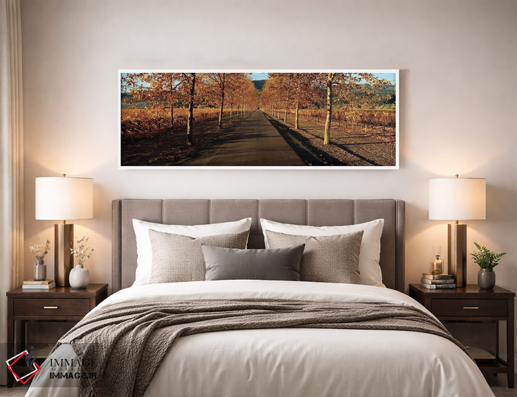 تابلو دکوراتیو Beaulieu Vineyard, Rutherford AVA, Napa Valley, Califor… اثر پانورامیک ایمجز - D4W