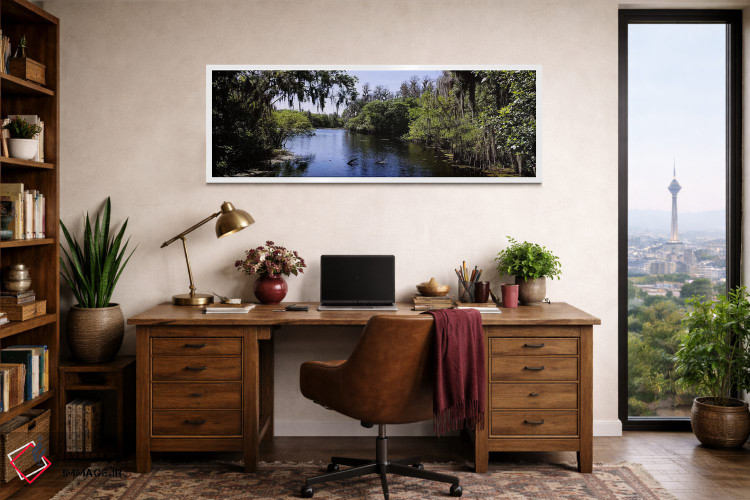 تابلو دکوراتیو Lettuce Lake Park, Tampa, Hillsborough County, Florida… اثر پانورامیک ایمجز - D1W