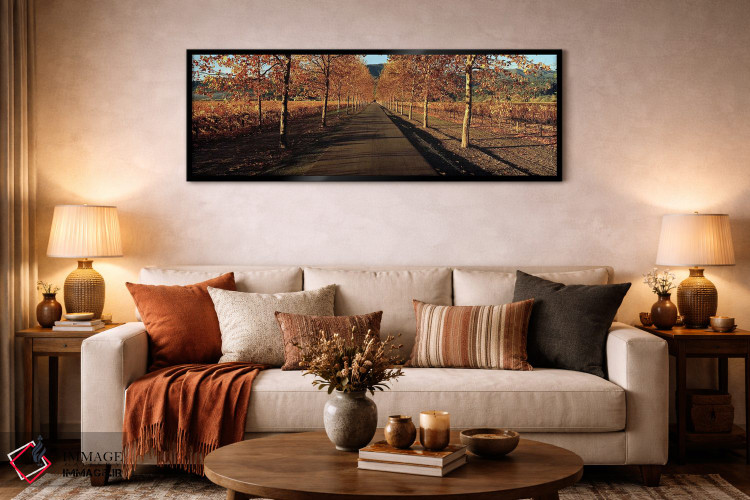 تابلو دکوراتیو Beaulieu Vineyard, Rutherford AVA, Napa Valley, Califor… اثر پانورامیک ایمجز - D6B