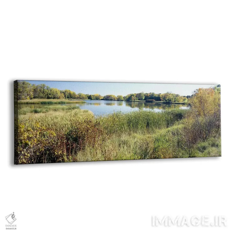تابلو دکوراتیو Odana Hills Golf Course, Madison, Dane County, Wisconsi… اثر پانورامیک ایمجز - نمای پرسپکتیو محصول