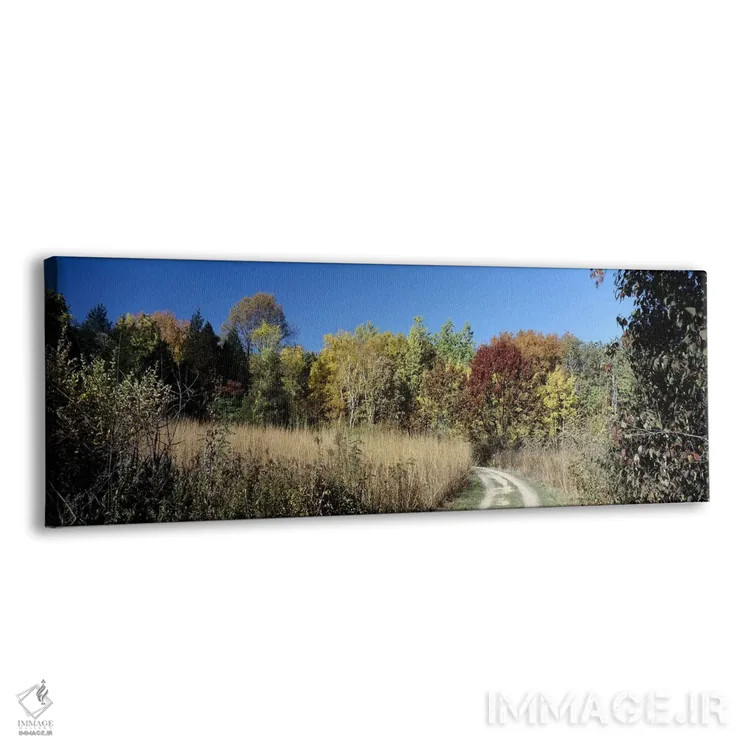 تابلو دکوراتیو University of Wisconsin Arboretum, Madison, Dane County… اثر پانورامیک ایمجز - نمای پرسپکتیو محصول