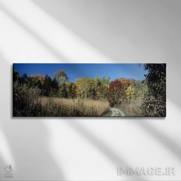 تابلو دکوراتیو University of Wisconsin Arboretum, Madison, Dane County… اثر پانورامیک ایمجز - نمای روبهرو روی دیوار