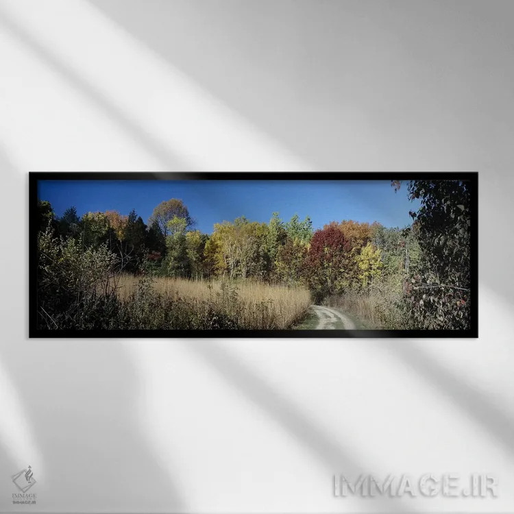 تابلو دکوراتیو University of Wisconsin Arboretum, Madison, Dane County… اثر پانورامیک ایمجز - نمای قابدار مشکی