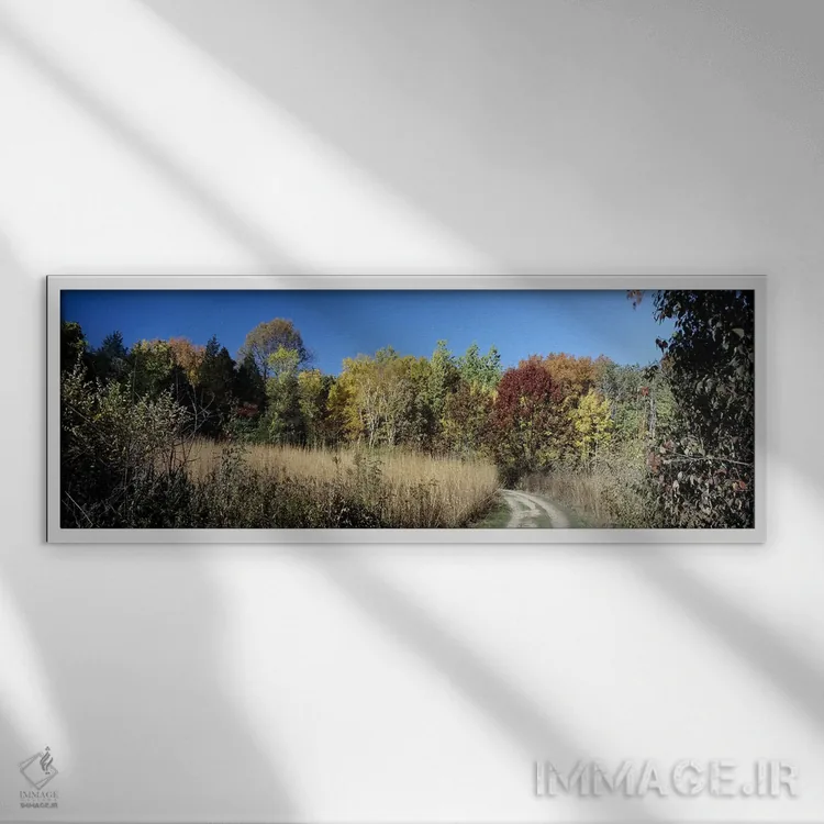 تابلو دکوراتیو University of Wisconsin Arboretum, Madison, Dane County… اثر پانورامیک ایمجز - نمای قابدار سفید