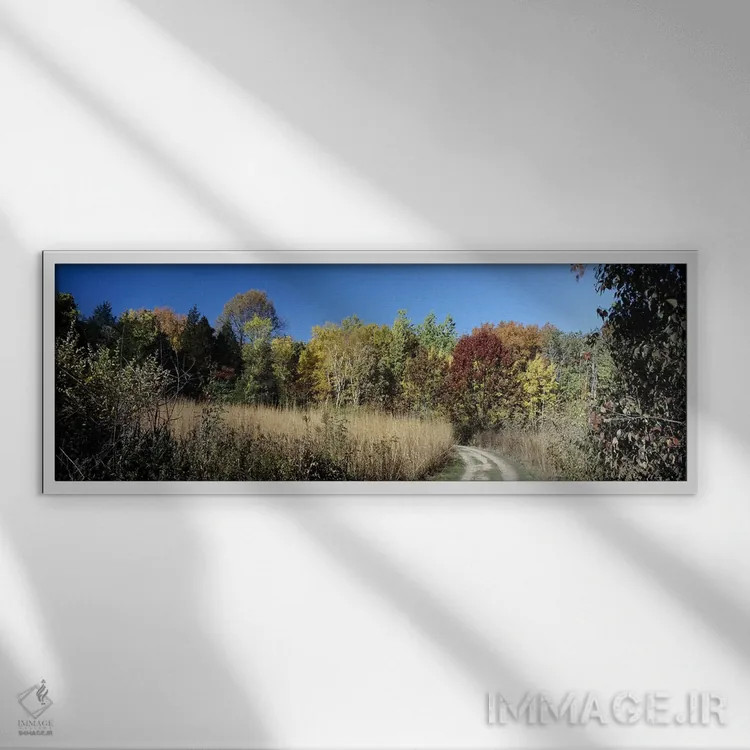 تابلو دکوراتیو University of Wisconsin Arboretum, Madison, Dane County… اثر پانورامیک ایمجز - نمای قابدار سفید