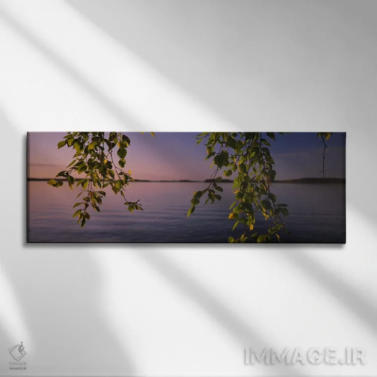 تابلو دکوراتیو South Karelia, Finland,نمای نزدیک از برگ های درخت غان ک… اثر پانورامیک ایمجز - نمای روبهرو روی دیوار