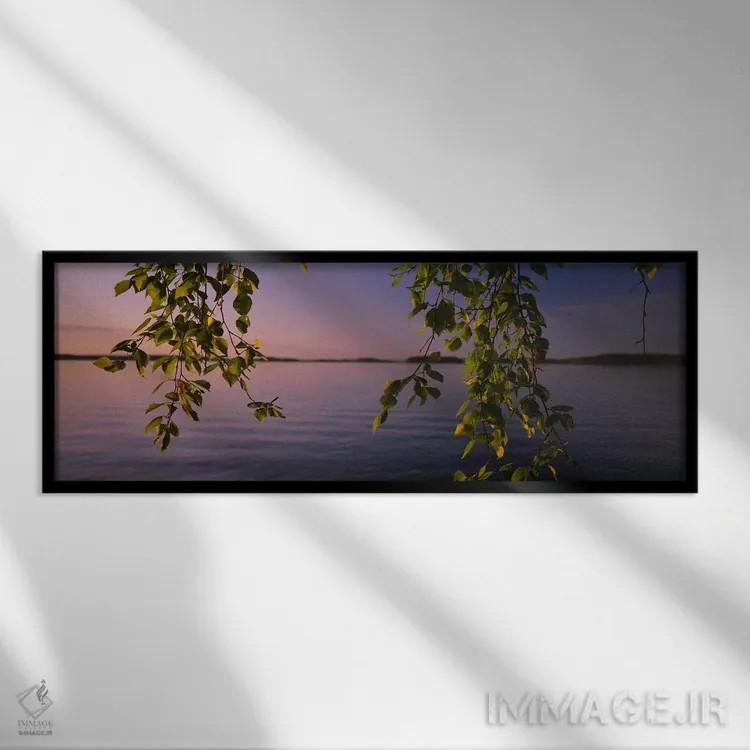 تابلو دکوراتیو South Karelia, Finland,نمای نزدیک از برگ های درخت غان ک… اثر پانورامیک ایمجز - نمای قابدار مشکی