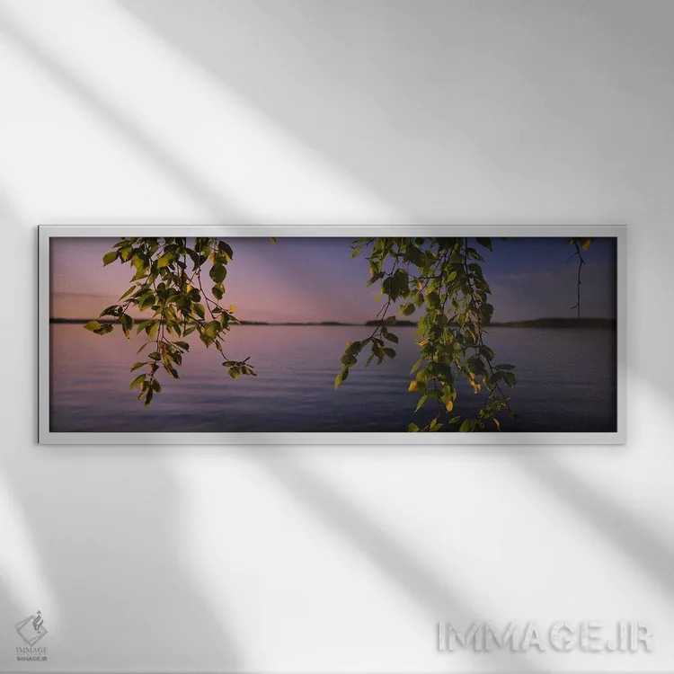 تابلو دکوراتیو South Karelia, Finland,نمای نزدیک از برگ های درخت غان ک… اثر پانورامیک ایمجز - نمای قابدار سفید