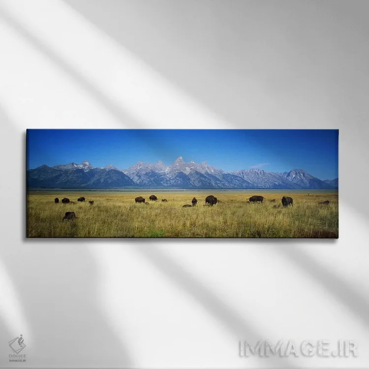 تابلو دکوراتیو Wyoming, USA,گله گاومیش در دشتی با کوه ها در پس زمینه… اثر پانورامیک ایمجز - نمای روبهرو روی دیوار