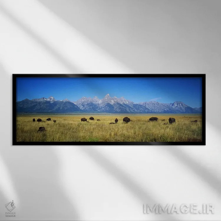 تابلو دکوراتیو Wyoming, USA,گله گاومیش در دشتی با کوه ها در پس زمینه… اثر پانورامیک ایمجز - نمای قابدار مشکی
