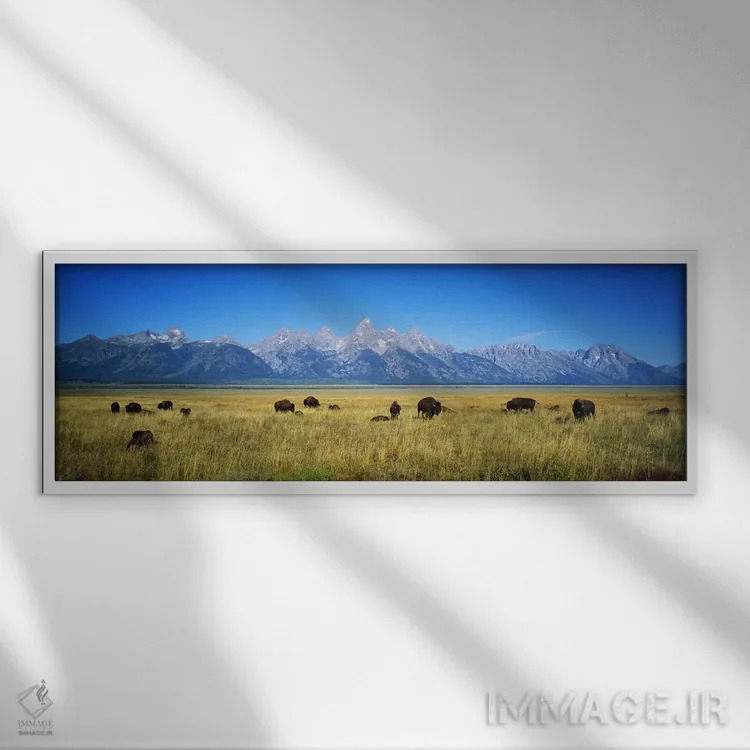 تابلو دکوراتیو Wyoming, USA,گله گاومیش در دشتی با کوه ها در پس زمینه… اثر پانورامیک ایمجز - نمای قابدار سفید