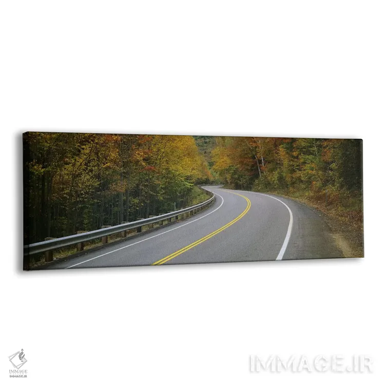 تابلو دکوراتیو New Hampshire, USA,جاده پیچ درپیچ میان جنگل پاییزی، نیو… اثر پانورامیک ایمجز - نمای پرسپکتیو محصول