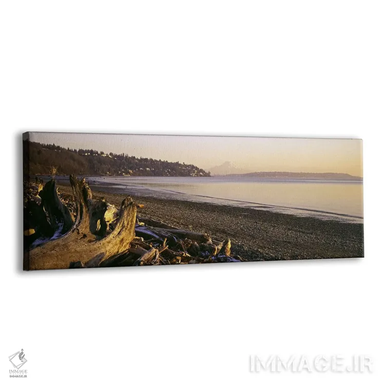 تابلو دکوراتیو Discovery Park, Mt Rainier, Seattle, King County, Washi… اثر پانورامیک ایمجز - نمای پرسپکتیو محصول