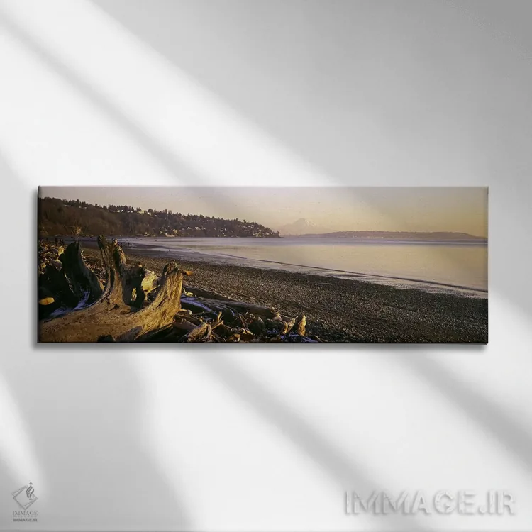 تابلو دکوراتیو Discovery Park, Mt Rainier, Seattle, King County, Washi… اثر پانورامیک ایمجز - نمای روبهرو روی دیوار