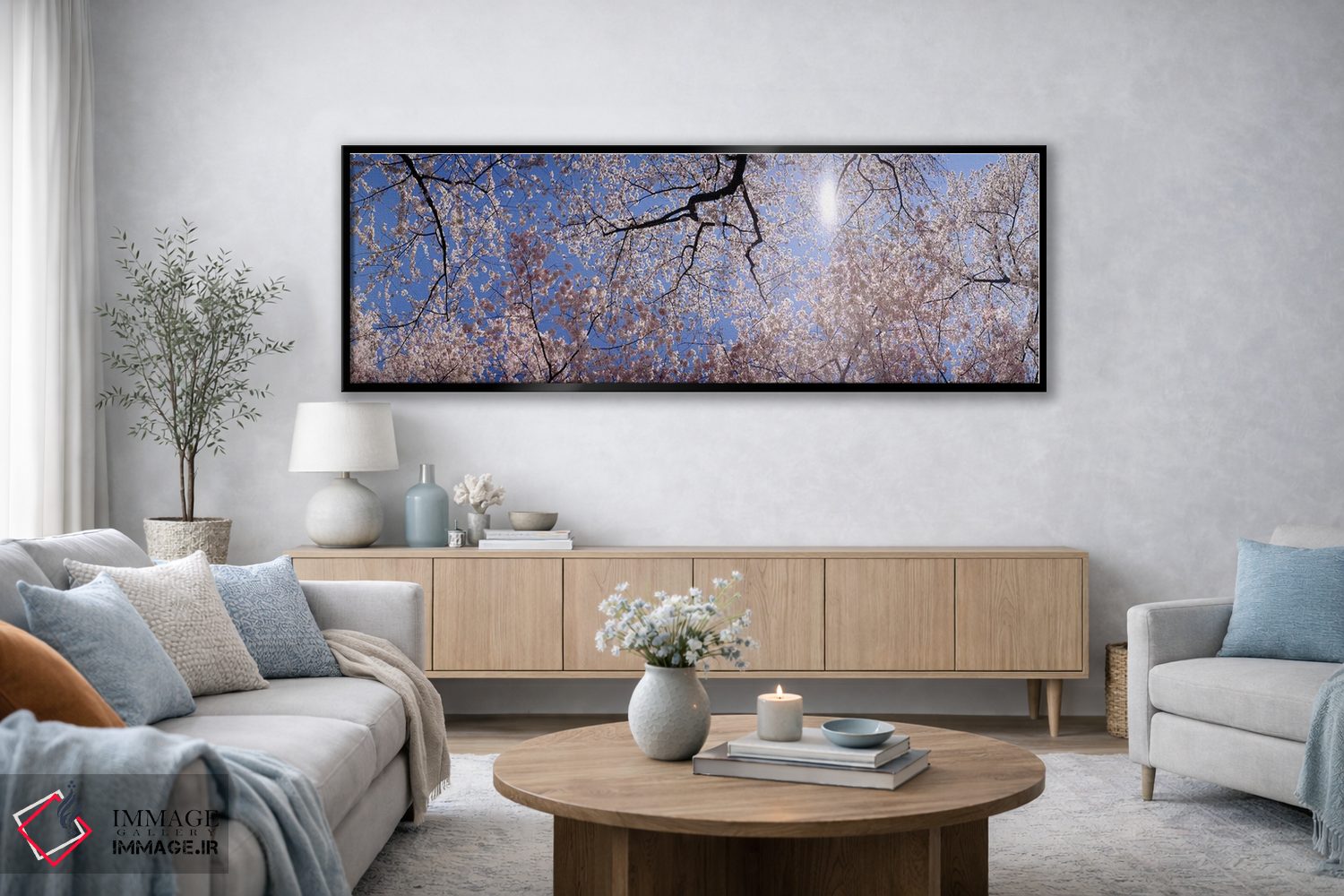 تابلو دکوراتیو USA,نمای پایین از درختان شکوفه گیلاس، واشنگتن دی سی، آم… اثر پانورامیک ایمجز - D3B