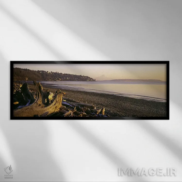 تابلو دکوراتیو Discovery Park, Mt Rainier, Seattle, King County, Washi… اثر پانورامیک ایمجز - نمای قابدار مشکی