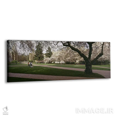 تابلو دکوراتیو University of Washington, Seattle, King County, Washing… اثر پانورامیک ایمجز - نمای پرسپکتیو محصول