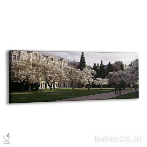 تابلو دکوراتیو University of Washington, Seattle, King County, Washing… اثر پانورامیک ایمجز - نمای پرسپکتیو محصول