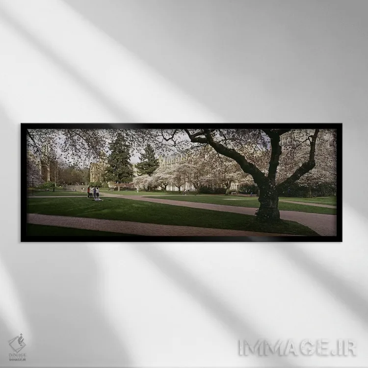 تابلو دکوراتیو University of Washington, Seattle, King County, Washing… اثر پانورامیک ایمجز - نمای قابدار مشکی