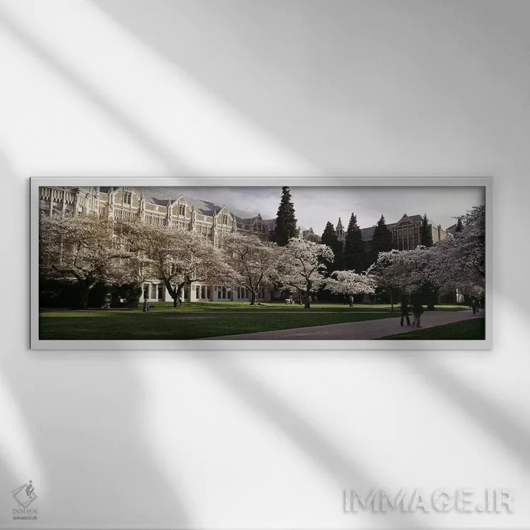 تابلو دکوراتیو University of Washington, Seattle, King County, Washing… اثر پانورامیک ایمجز - نمای قابدار سفید