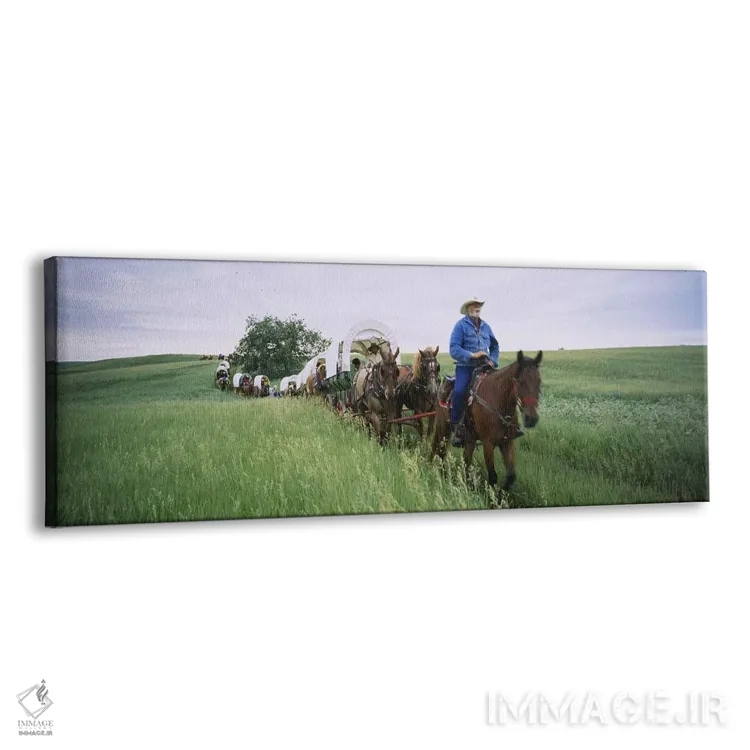 تابلو دکوراتیو North Dakota, USA,بازسازی تاریخی گاری های سرپوشیده در ی… اثر پانورامیک ایمجز - نمای پرسپکتیو محصول