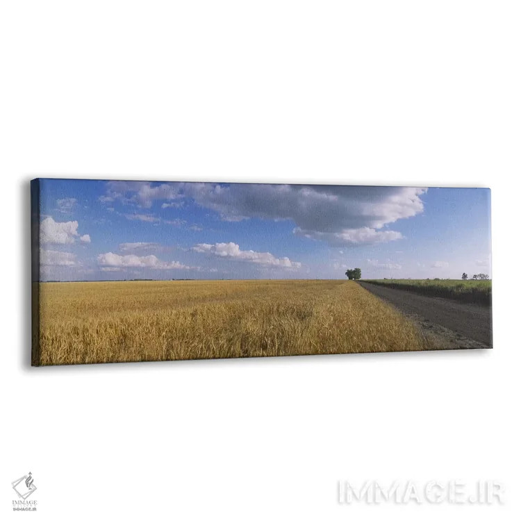 تابلو دکوراتیو North Dakota, USA,ابرها بر فراز مزرعه گندم، داکوتای شما… اثر پانورامیک ایمجز - نمای پرسپکتیو محصول