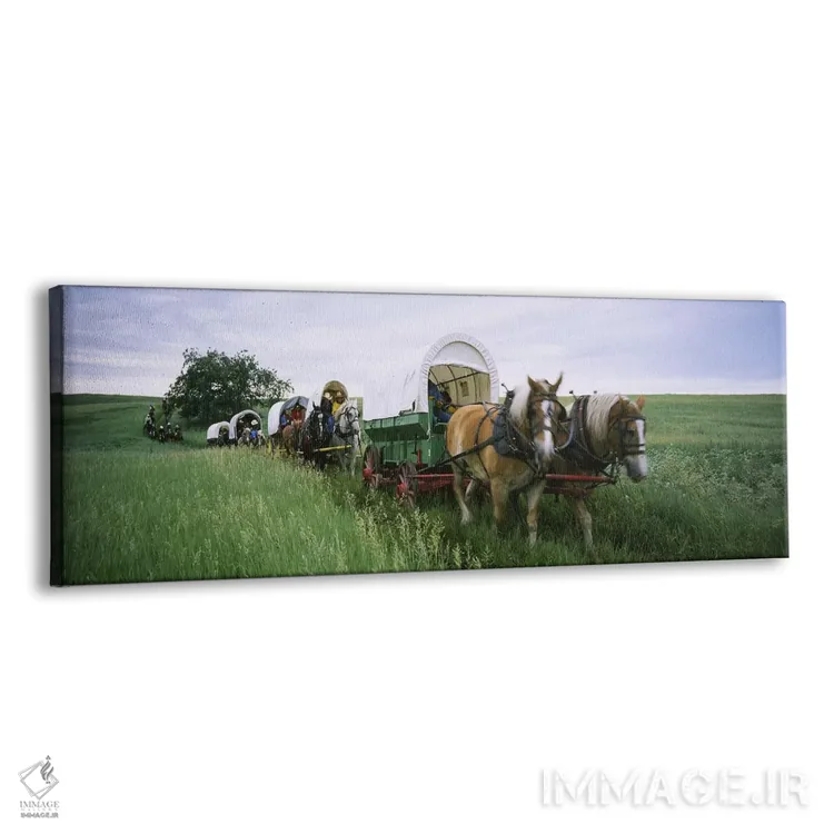 تابلو دکوراتیو Covered wagons in a field, North Dakota, USA,بازسازی تا… اثر پانورامیک ایمجز - نمای پرسپکتیو محصول