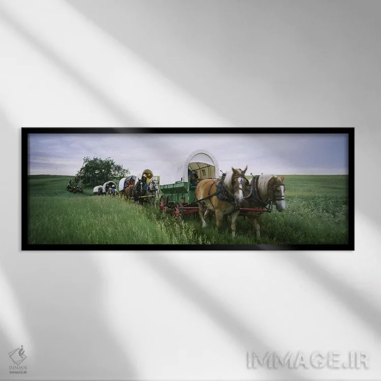 تابلو دکوراتیو Covered wagons in a field, North Dakota, USA,بازسازی تا… اثر پانورامیک ایمجز - نمای قابدار مشکی
