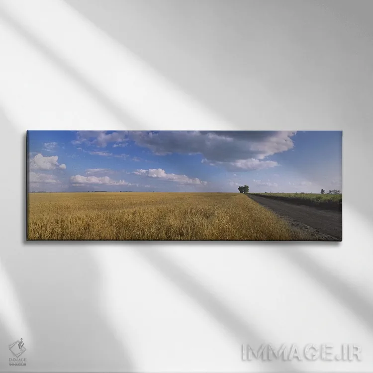 تابلو دکوراتیو North Dakota, USA,ابرها بر فراز مزرعه گندم، داکوتای شما… اثر پانورامیک ایمجز - نمای روبهرو روی دیوار