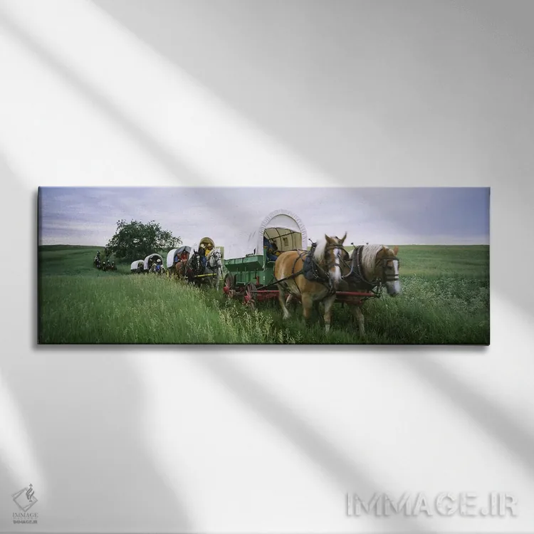 تابلو دکوراتیو Covered wagons in a field, North Dakota, USA,بازسازی تا… اثر پانورامیک ایمجز - نمای روبهرو روی دیوار