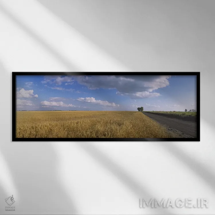 تابلو دکوراتیو North Dakota, USA,ابرها بر فراز مزرعه گندم، داکوتای شما… اثر پانورامیک ایمجز - نمای قابدار مشکی