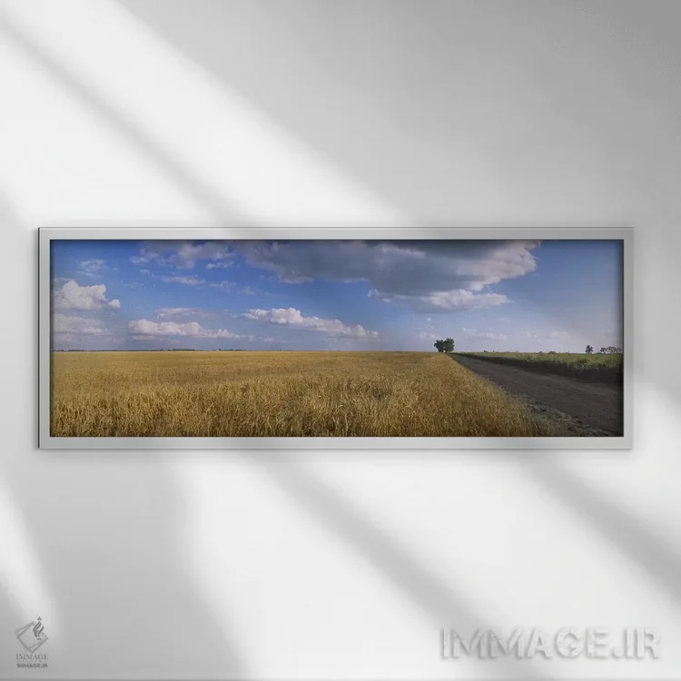تابلو دکوراتیو North Dakota, USA,ابرها بر فراز مزرعه گندم، داکوتای شما… اثر پانورامیک ایمجز - نمای قابدار سفید