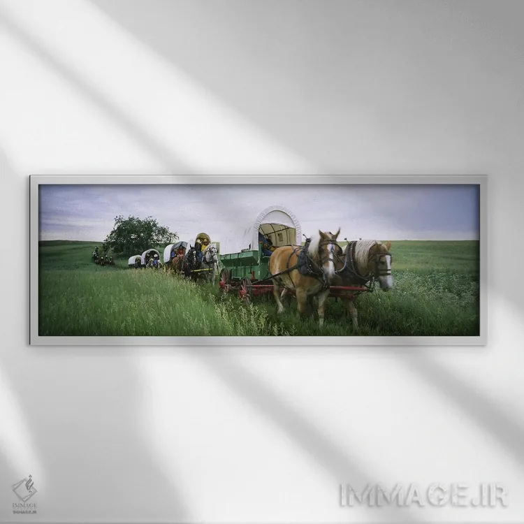 تابلو دکوراتیو Covered wagons in a field, North Dakota, USA,بازسازی تا… اثر پانورامیک ایمجز - نمای قابدار سفید